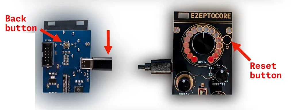EZEPTOCORE manual illustration identifying the rear button and front RESET button